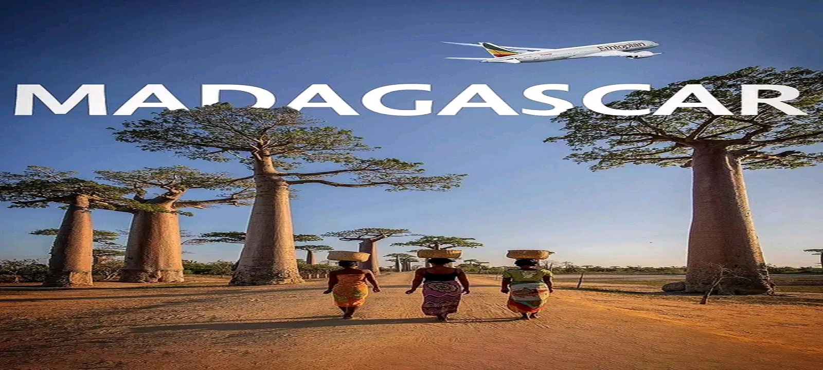 baobab avenue